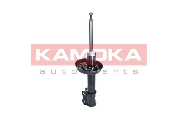 Shock Absorber (2000297)
