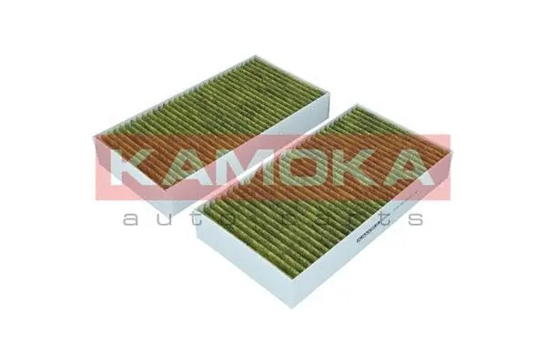 Filter, cabin air (6080041)