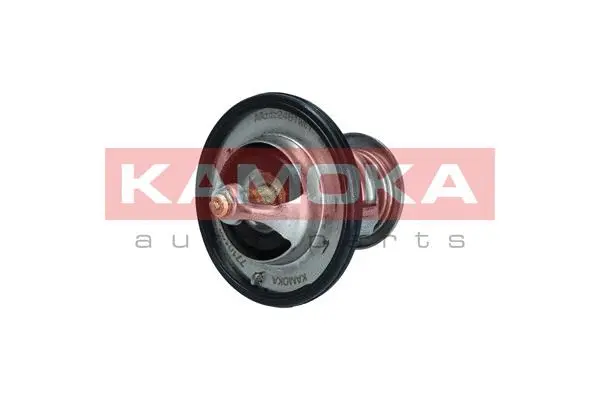 Thermostat, coolant