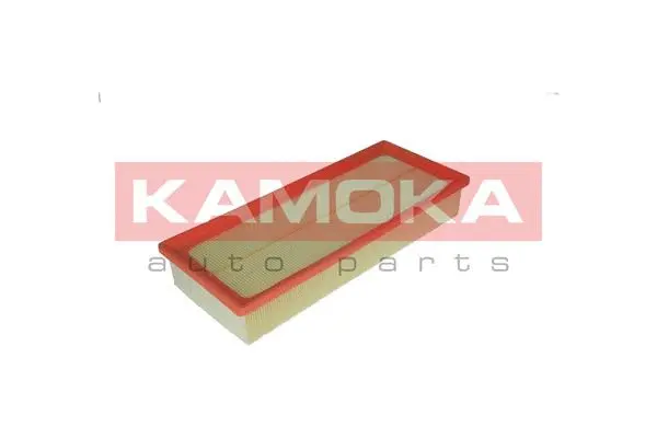 Air Filter (F204301)