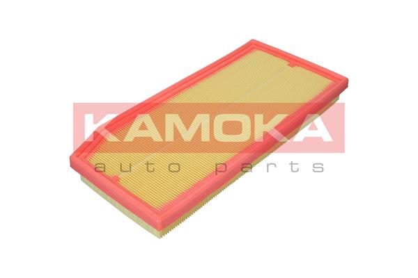 Air Filter (F257301)