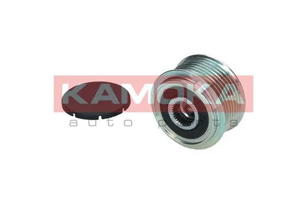 Alternator Freewheel Clutch