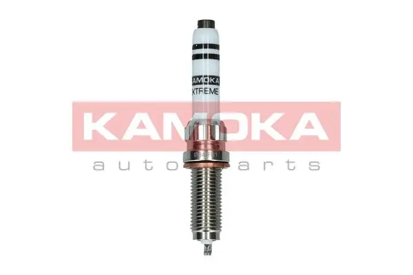 Spark Plug (7100065)