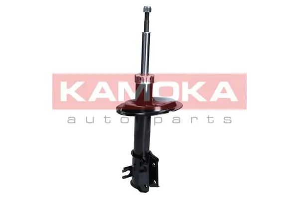 Shock Absorber (2001043)