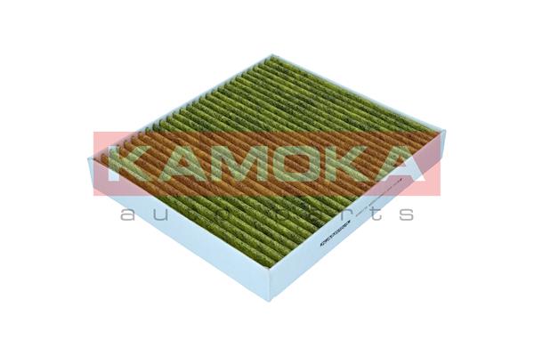 Filter, cabin air (6080179)