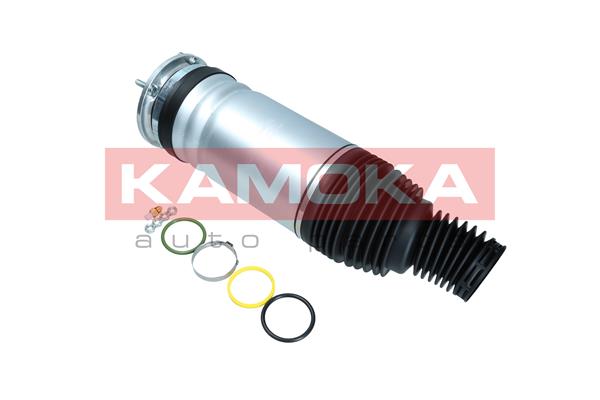 Air Spring, suspension