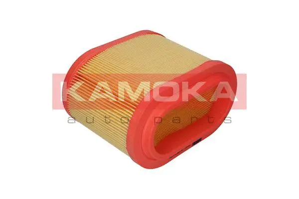 Air Filter (F214001)