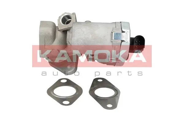 EGR Valve (19030)