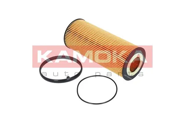 Oil Filter (F110601)
