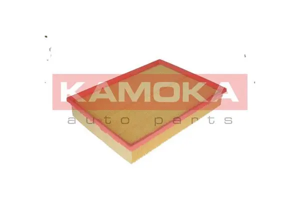 Air Filter (F208401)