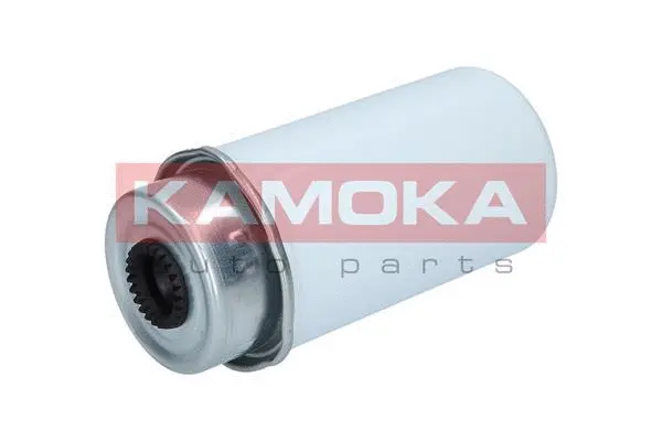 Fuel Filter (F312701)