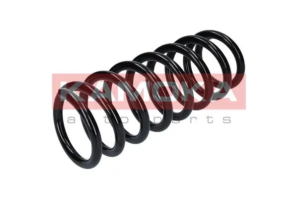 Suspension Spring (2120110)