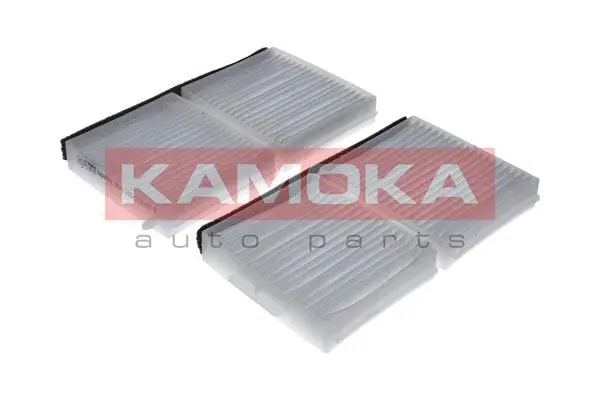 Filter, cabin air (F408701)