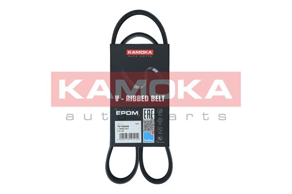 V-Ribbed Belt (7016029)
