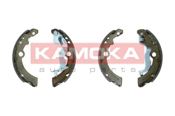 Brake Shoe Set (JQ202087)