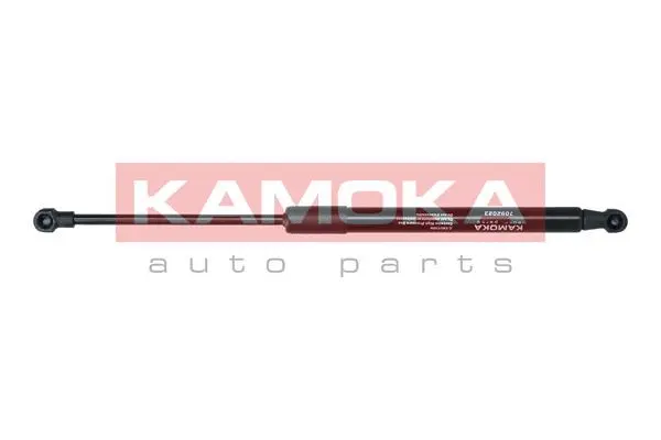 Gas Spring, boot/cargo area (7092023)