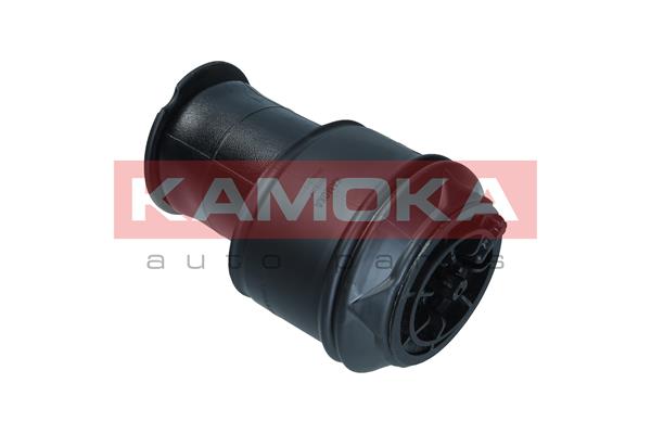 Air Spring, suspension