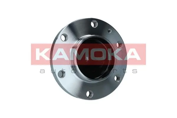 Wheel Bearing Kit (5500308)