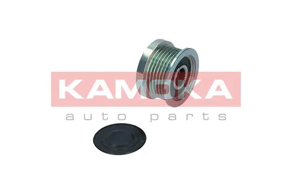 Alternator Freewheel Clutch
