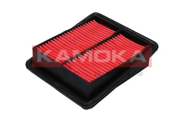 Air Filter (F245301)