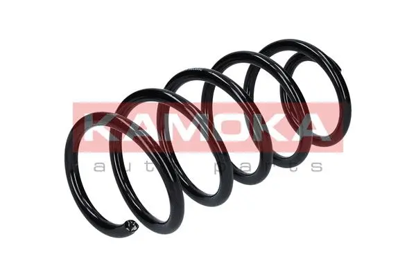 Suspension Spring (2110208)