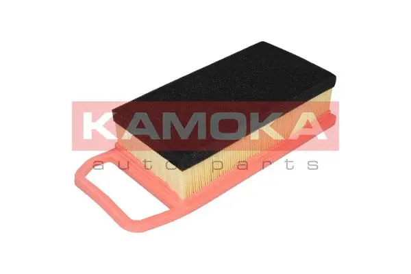 Air Filter (F223801)