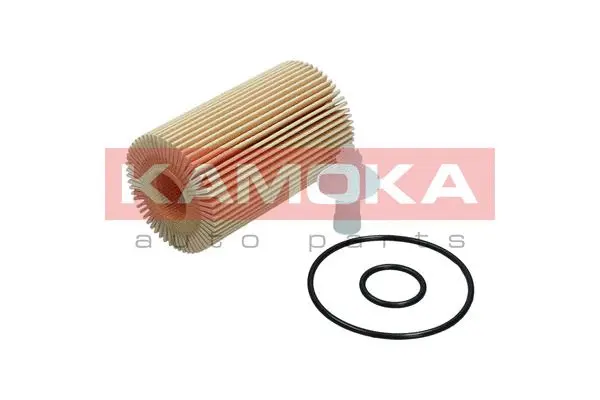 Oil Filter (F116901)
