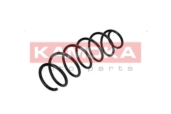 Suspension Spring (2110128)