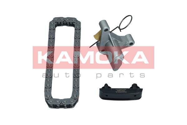 Timing Chain Kit (7001553)