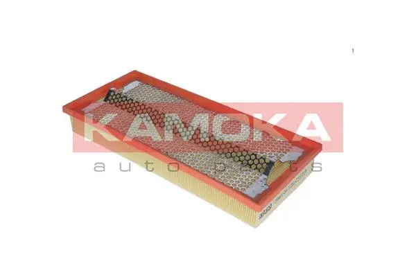 Air Filter (F208601)