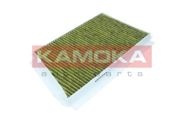 Filter, cabin air (6080012)