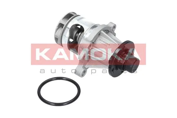 Water Pump, engine cooling (T0056)