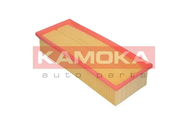 Air Filter (F201201)