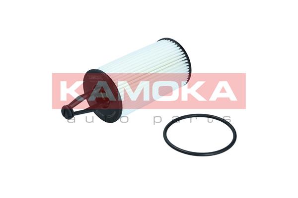 Oil Filter (F122301)
