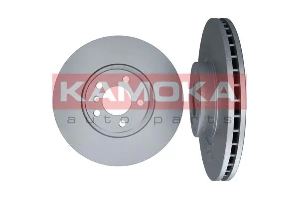Brake Disc (103300)