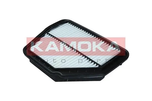 Air Filter (F246101)
