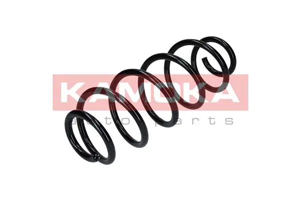 Suspension Spring (2120277)