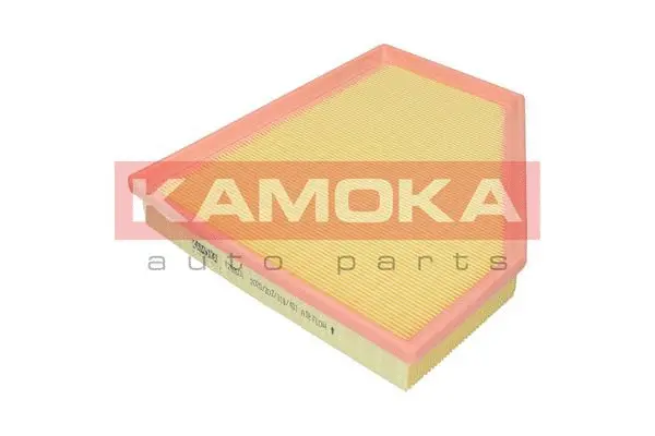 Air Filter (F252601)