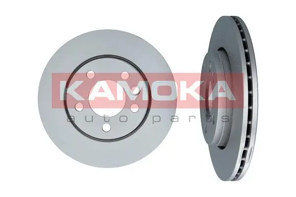 Brake Disc (1031120)