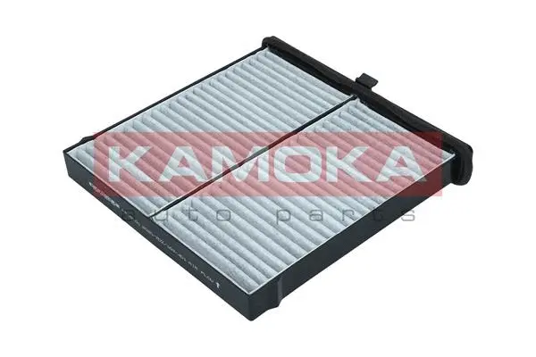 Filter, cabin air (F518101)