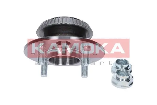 Wheel Bearing Kit (5500146)