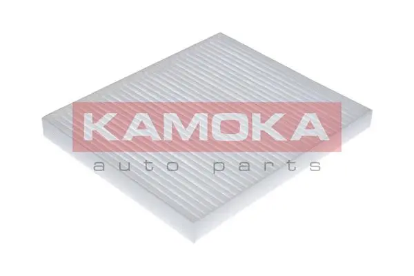 Filter, cabin air (F409001)
