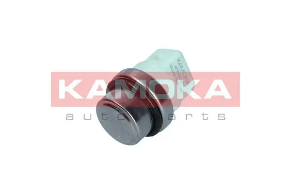 Temperature Switch, radiator fan (4090032)