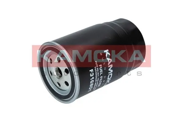 Fuel Filter (F316801)