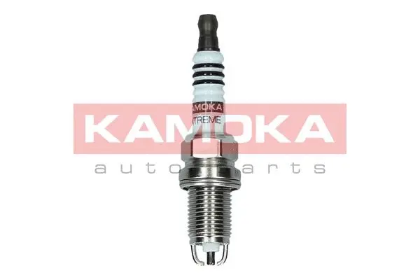 Spark Plug (7100502)