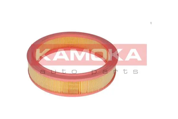 Air Filter (F209301)