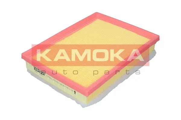 Air Filter (F251801)