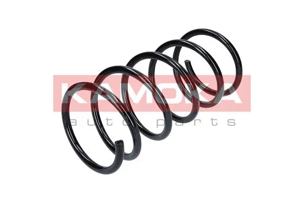 Suspension Spring (2110276)
