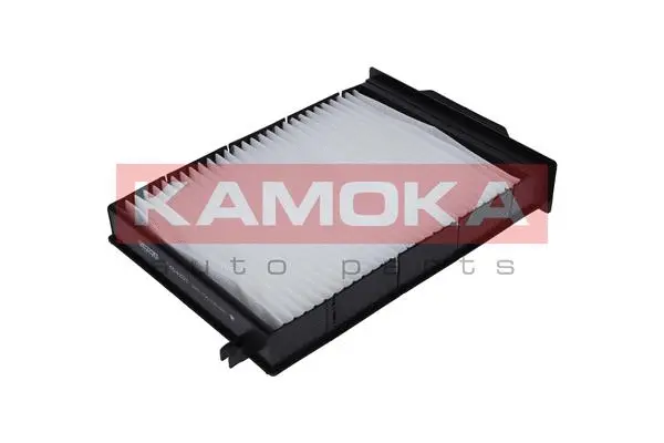 Filter, cabin air (F404201)