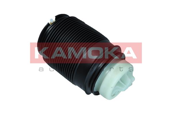 Air Spring, suspension